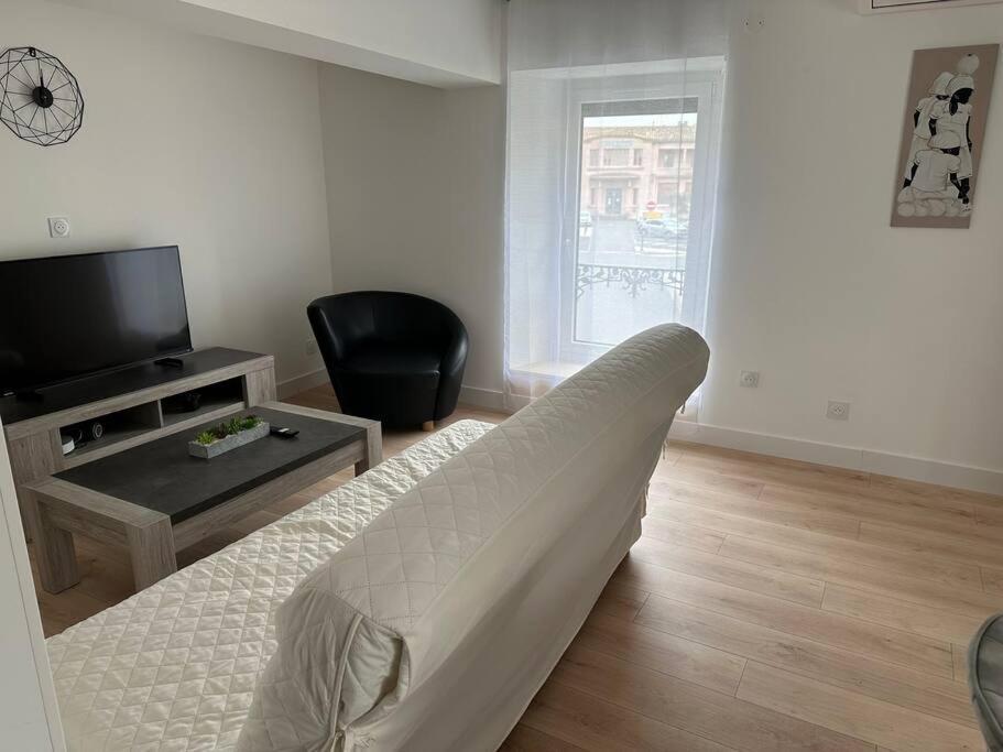 Appartement Chez Gaelle à Trèbes Extérieur photo